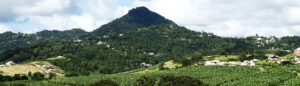 MONTAGNE DU VAUCLIN copie
