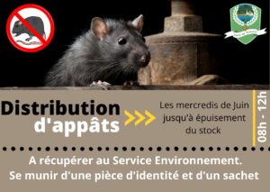 Campagne de dératisation